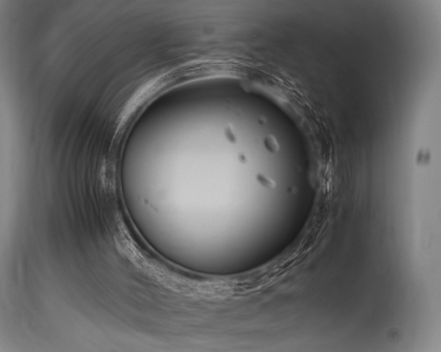 X0000115640004200911101527