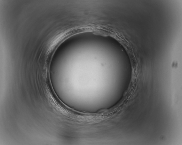 X0000115640005200911101527