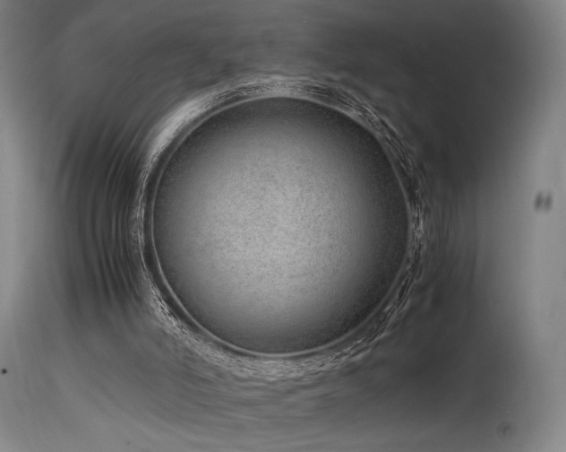 X0000115640006200911101527