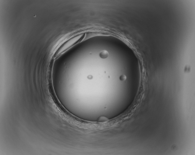 X0000115640007200911101527