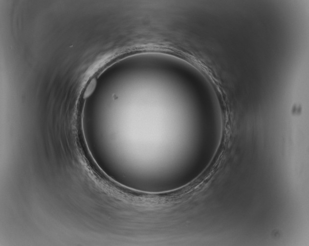 X0000115640008200911101527