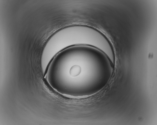 X0000115640009200911101527