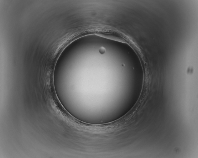 X0000115640010200911101527