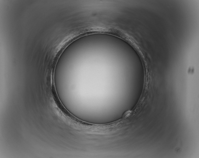 X0000115640011200911101527