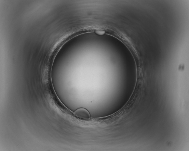 X0000115640012200911101527
