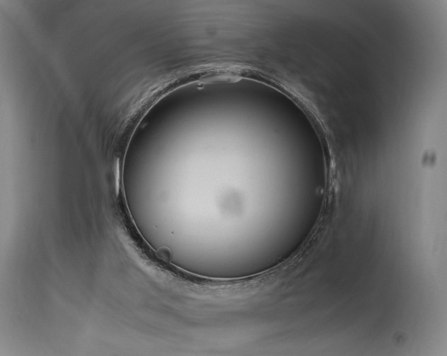 X0000115640013200911101527
