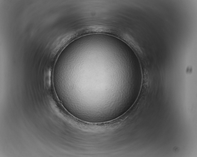 X0000115640014200911101527