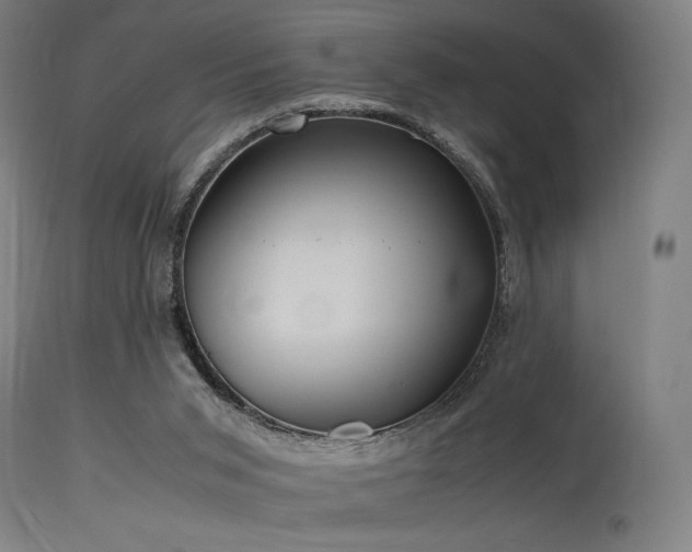 X0000115640015200911101527