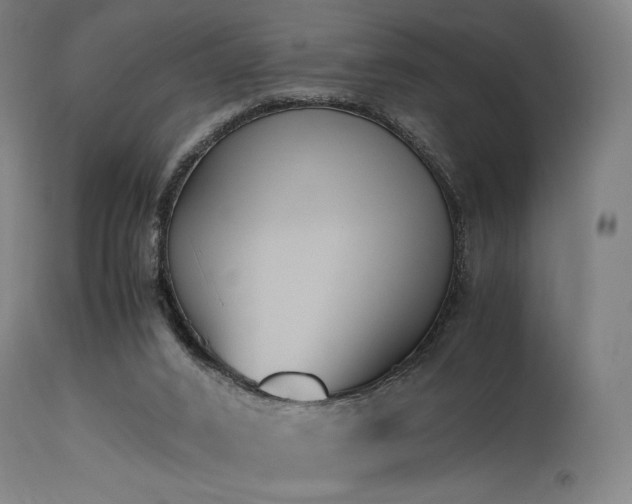 X0000115640016200911101527