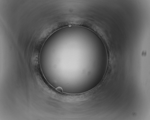 X0000115640017200911101527