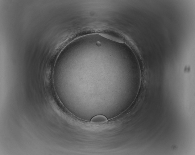X0000115640018200911101527