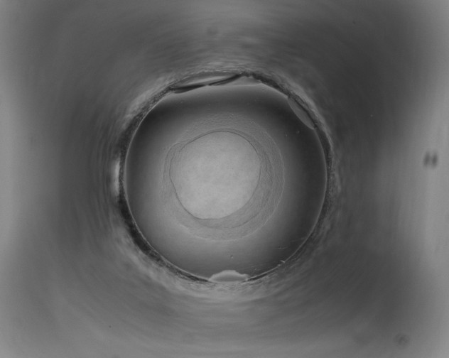 X0000115640019200911101527