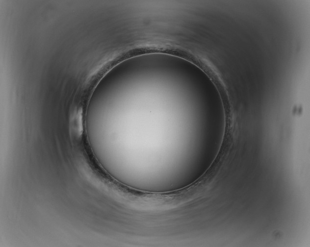 X0000115640020200911101527