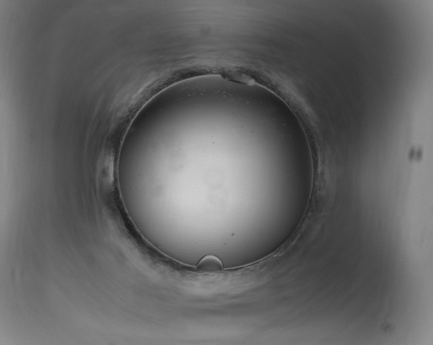 X0000115640021200911101527