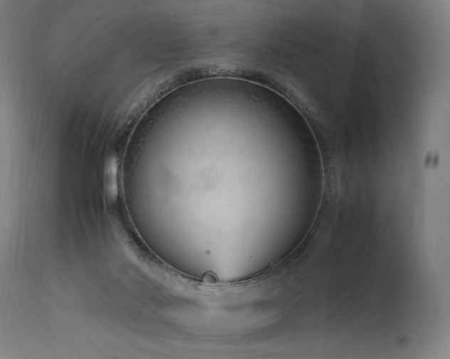 X0000115640022200911101527