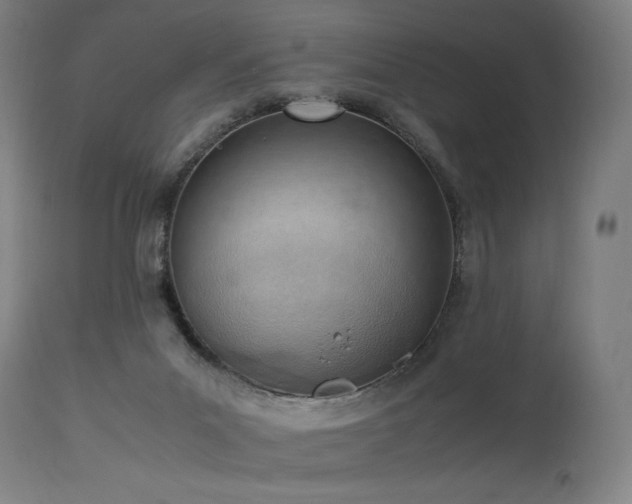 X0000115640023200911101527
