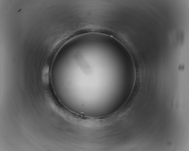X0000115640024200911101527