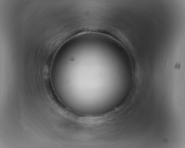 X0000115640025200911101527