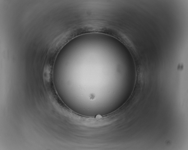 X0000115640026200911101527