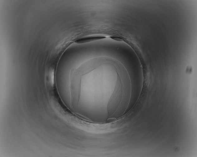 X0000115640027200911101527
