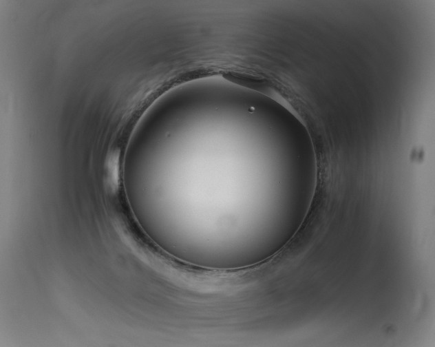 X0000115640028200911101527