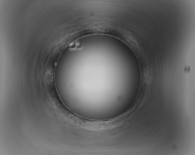 X0000115640029200911101527