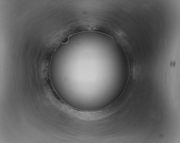 X0000115640030200911101527