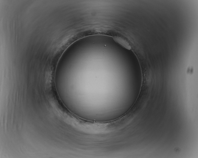 X0000115640032200911101526
