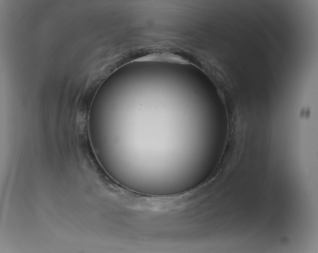 X0000115640033200911101526