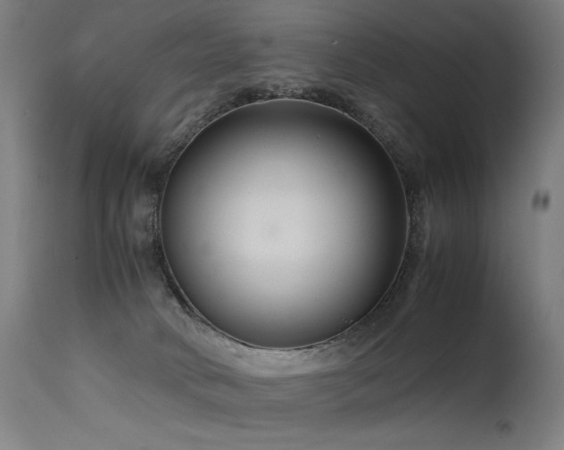 X0000115640034200911101526