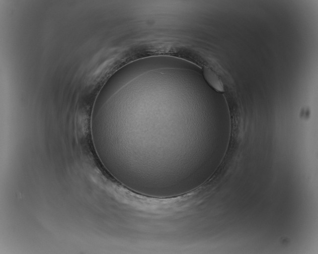 X0000115640035200911101526