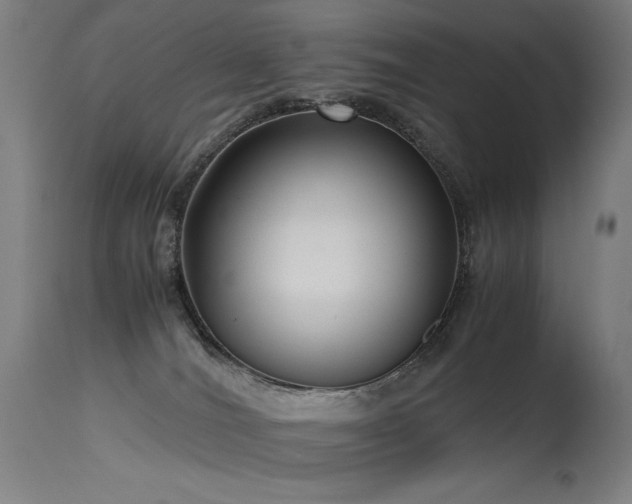 X0000115640036200911101526