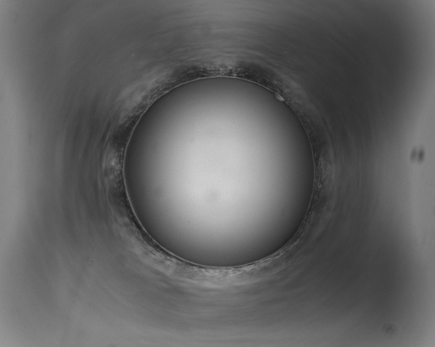 X0000115640037200911101526