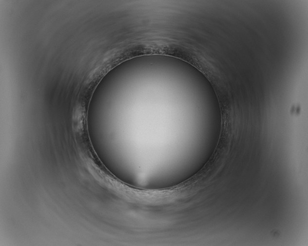 X0000115640038200911101526