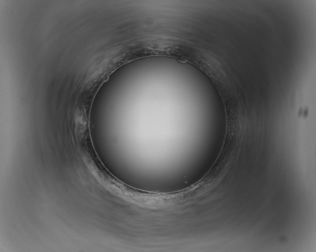 X0000115640040200911101526