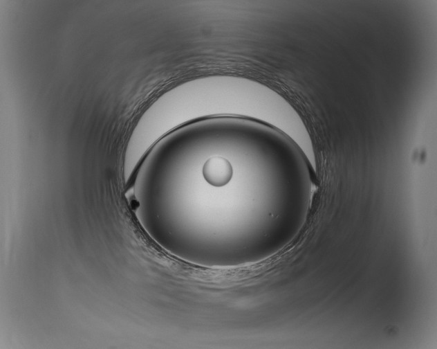 X0000115640041200911101526