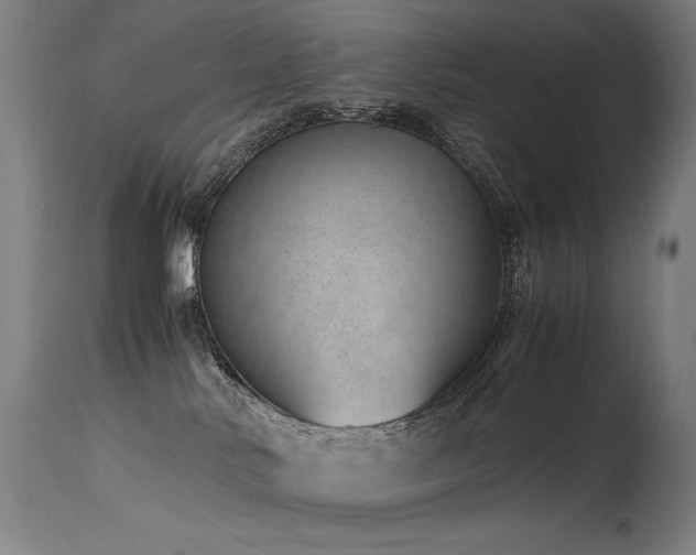 X0000115640042200911101526