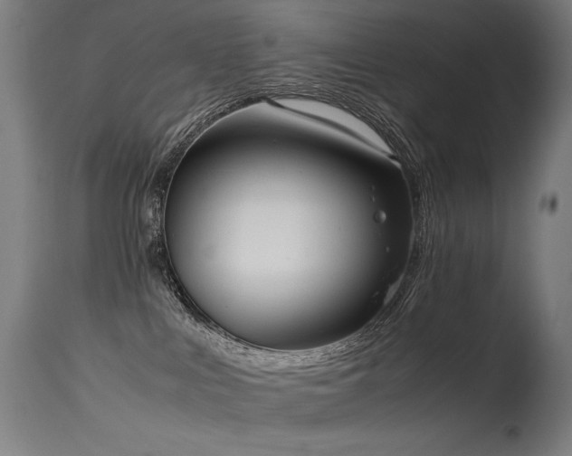 X0000115640043200911101526