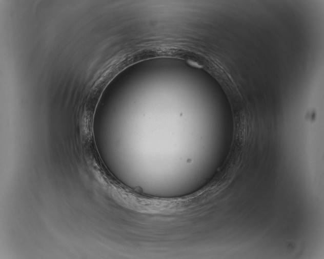 X0000115640044200911101526