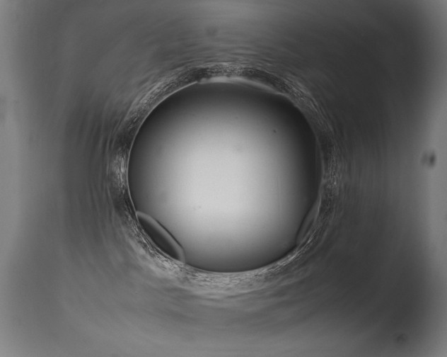 X0000115640045200911101526