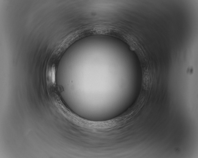 X0000115640046200911101526