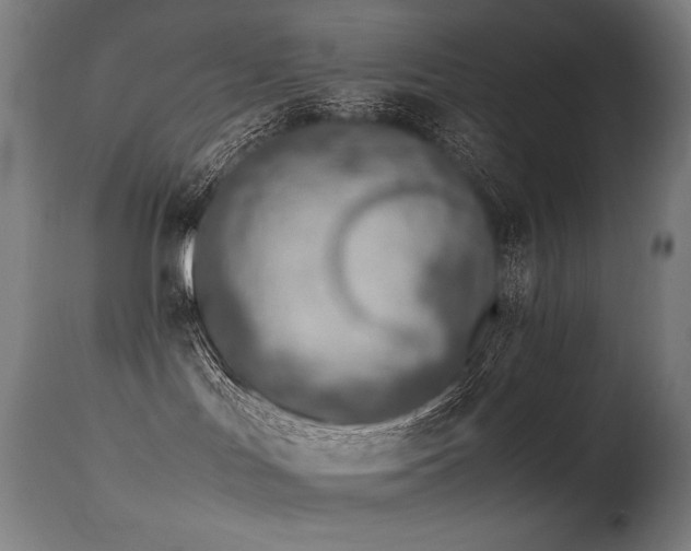 X0000115640047200911101526