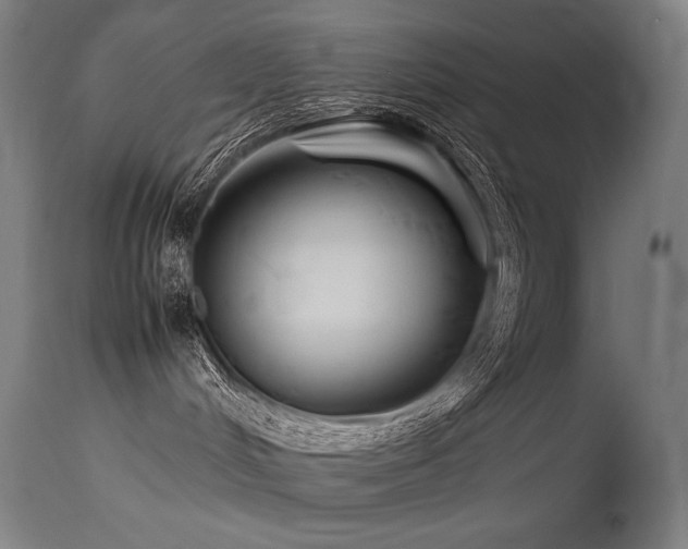 X0000115640048200911101526