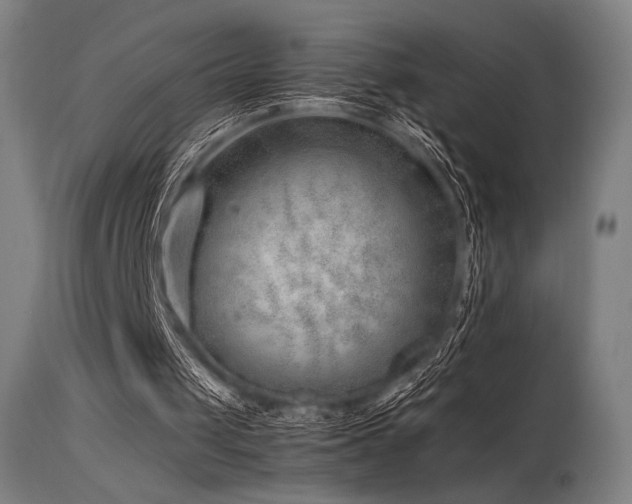 X0000115640049200911101525