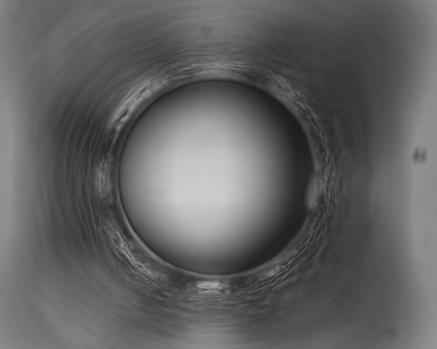 X0000115640050200911101525