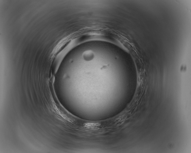X0000115640051200911101525