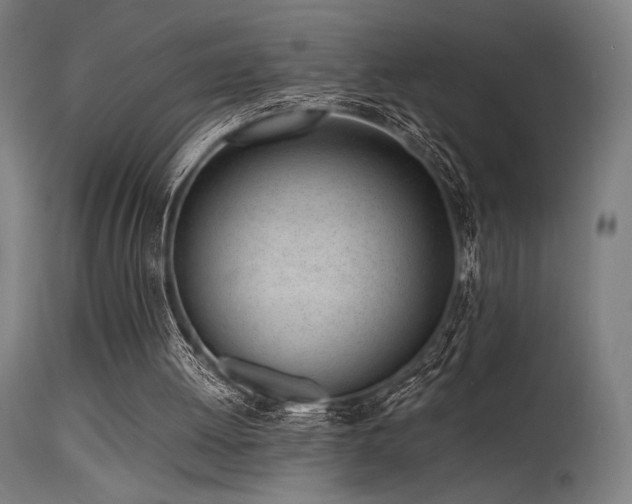 X0000115640052200911101525