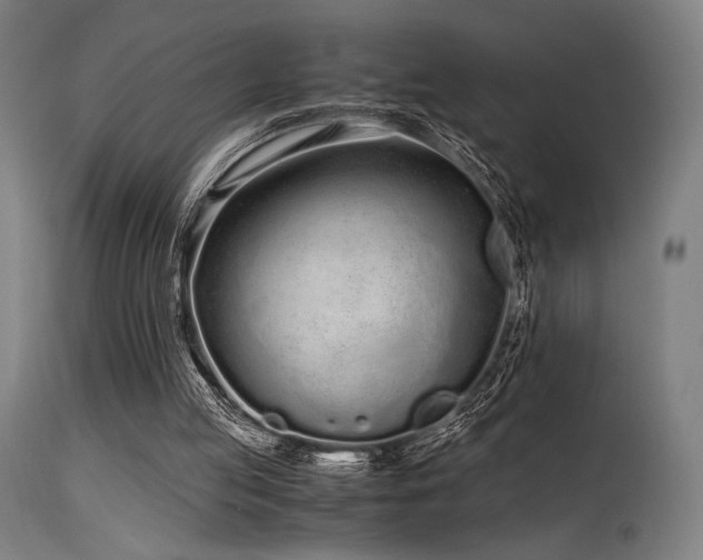 X0000115640053200911101525