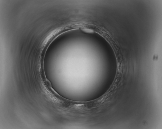 X0000115640054200911101526
