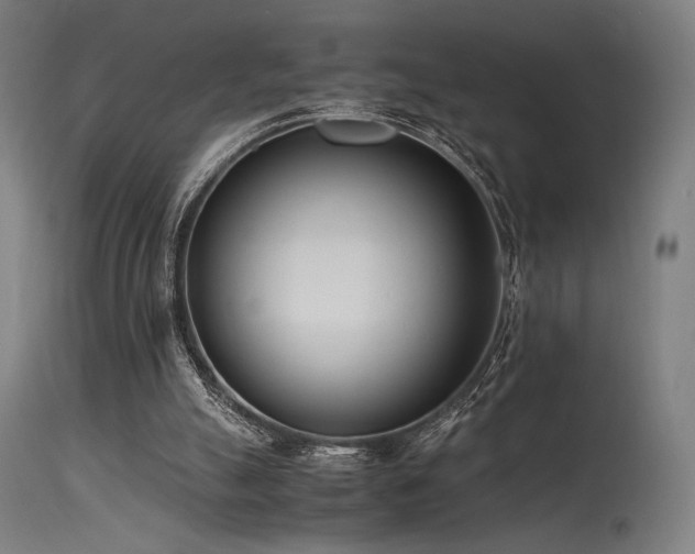X0000115640055200911101526